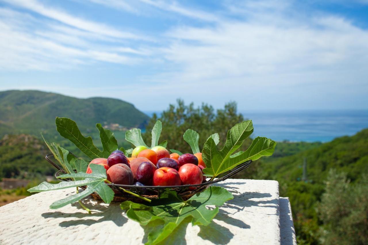 Eco Village Buljarica Budva Exteriör bild