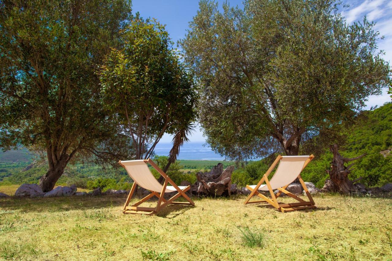 Eco Village Buljarica Budva Exteriör bild